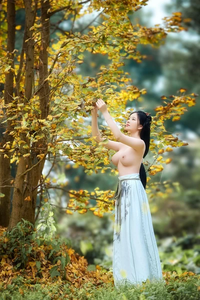 年年nnian – NO.058 秋兮